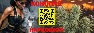 гидра Камышлов