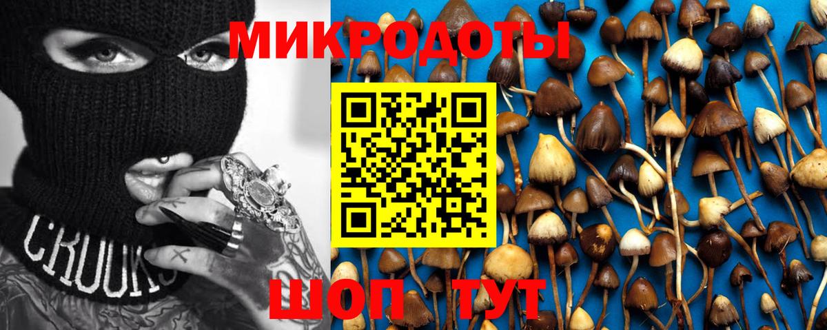 Галлюциногенные грибы мицелий  Псилоцибиновые грибы ЛСД  Вход с VPN  Кропоткин 